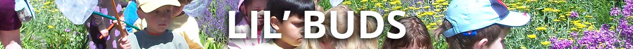 Lil' Buds Classes at Red Butte Garden