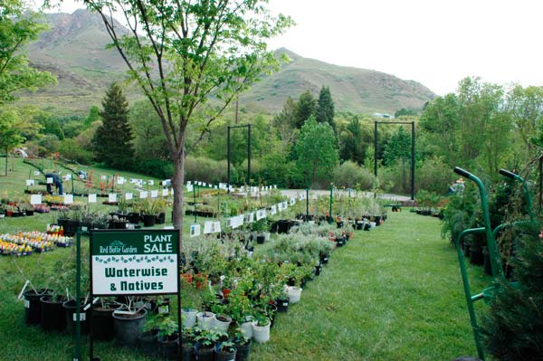 Red Butte Garden Plant Sale