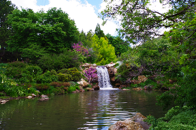 Rose Garden Waterfall