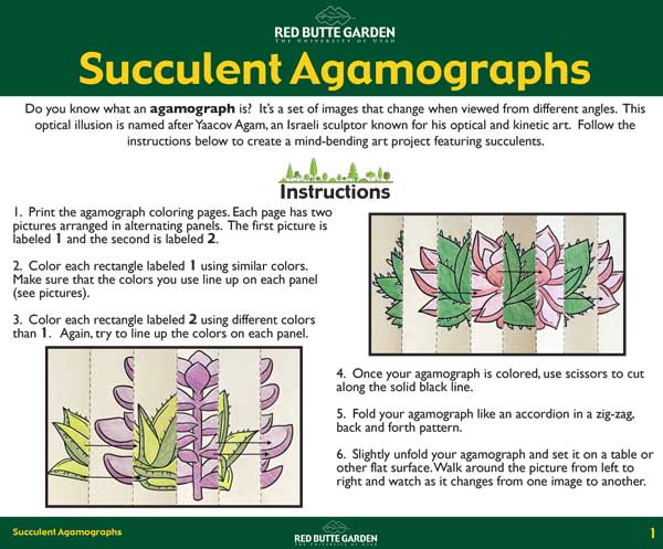 Succulent Agamograph